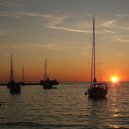 Tamaris, 600 M From The Beach Novigrad Istria 외부 사진