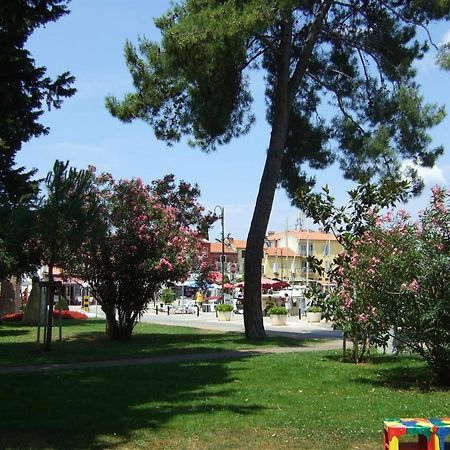 Tamaris, 600 M From The Beach Novigrad Istria 외부 사진