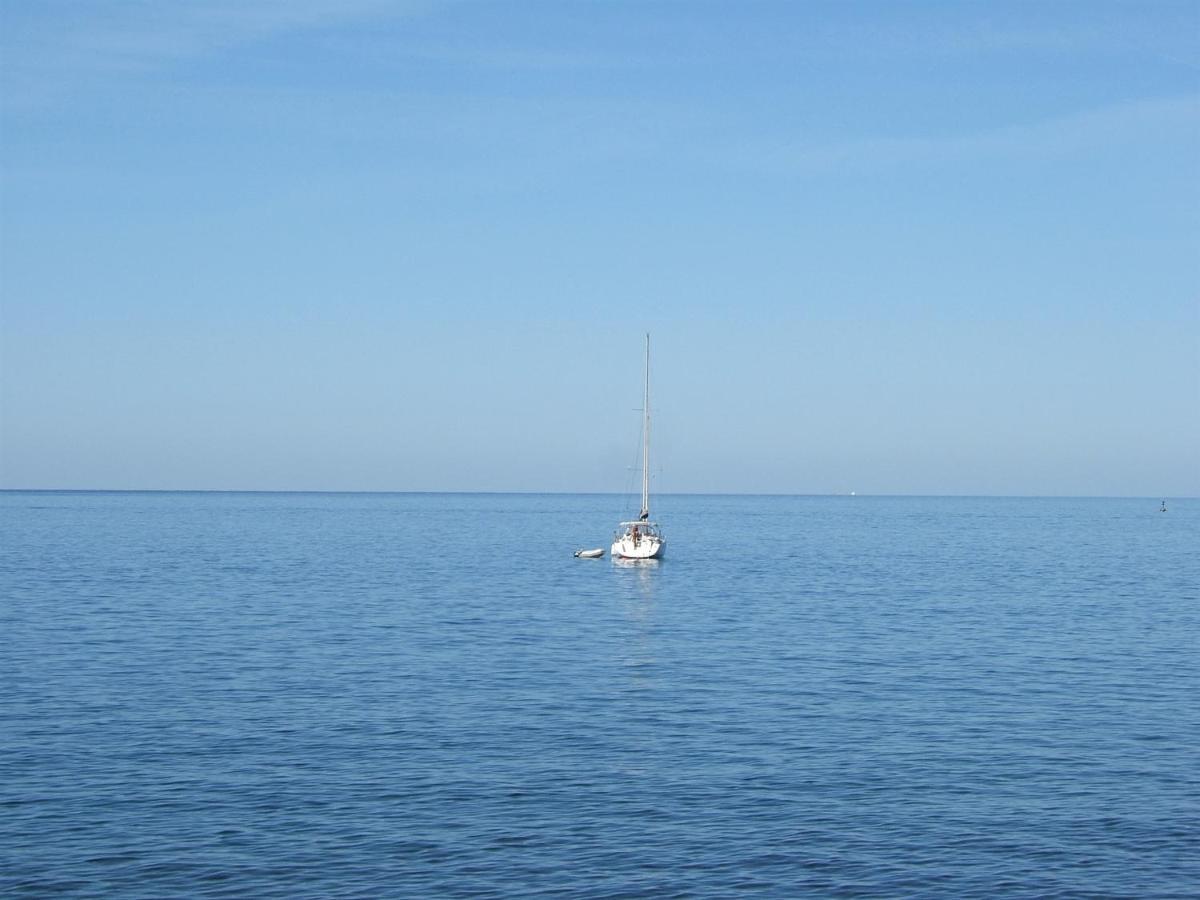 Tamaris, 600 M From The Beach Novigrad Istria 외부 사진